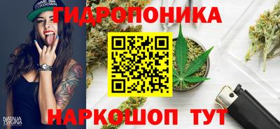 2c-b Гусев