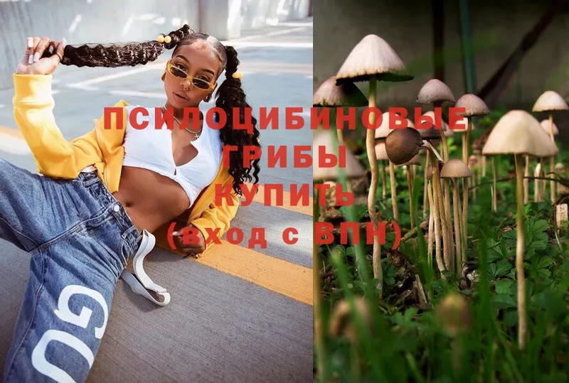 Псилоцибиновые грибы Magic Shrooms  Семилуки 