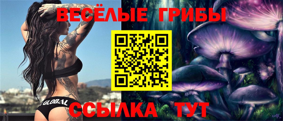 Канабис  Семилуки  АМФ кристаллы  A-PVP СК кристаллы  MDMA  NBOMe  Мефедрон   Меф МЯУ МЯУ   ГАШ 